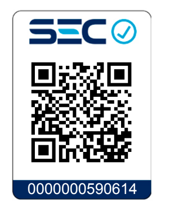 Plancha automática Leisure 3.0